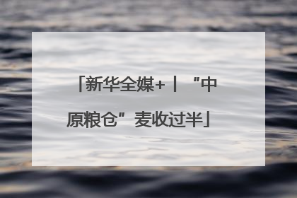 新华全媒+丨“中原粮仓”麦收过半