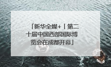 新华全媒+丨第二十届中国西部国际博览会在成都开幕