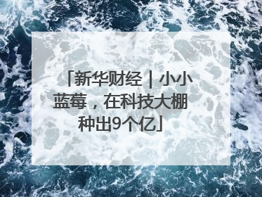 新华财经｜小小蓝莓，在科技大棚种出9个亿