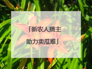 新农人播主 助力卖瓜难