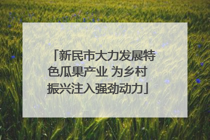 新民市大力发展特色瓜果产业 为乡村振兴注入强劲动力