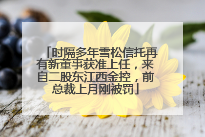 时隔多年雪松信托再有新董事获准上任，来自二股东江西金控，前总裁上月刚被罚