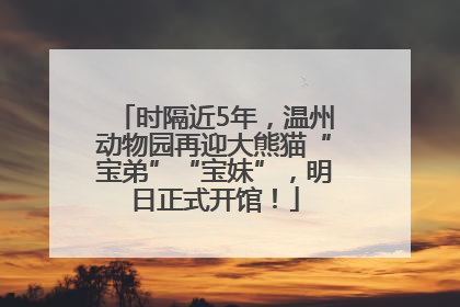 时隔近5年，温州动物园再迎大熊猫“宝弟”“宝妹”，明日正式开馆！