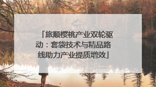 旅顺樱桃产业双轮驱动：套袋技术与精品路线助力产业提质增效