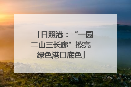 日照港：“一园二山三长廊”擦亮绿色港口底色