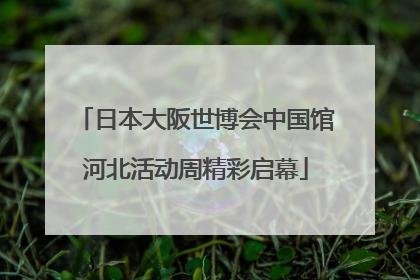 日本大阪世博会中国馆河北活动周精彩启幕