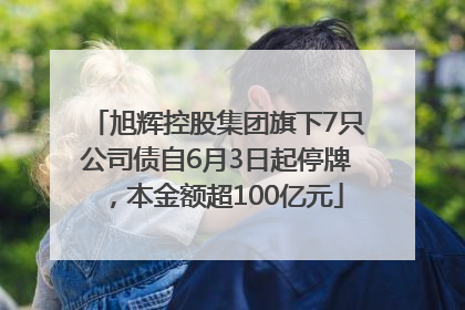 旭辉控股集团旗下7只公司债自6月3日起停牌，本金额超100亿元