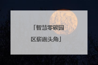 智慧零碳园区崭露头角