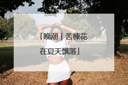 晚潮｜苦楝花在夏天飘落