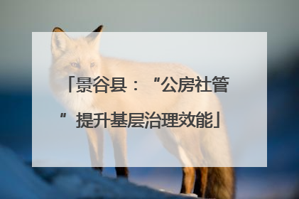 景谷县：“公房社管”提升基层治理效能