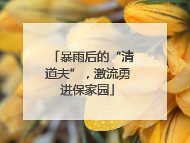 暴雨后的“清道夫”，激流勇进保家园