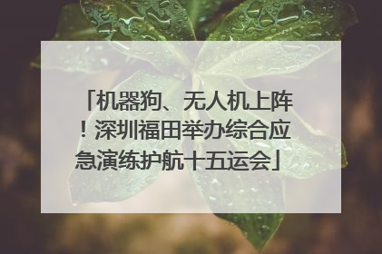 机器狗、无人机上阵！深圳福田举办综合应急演练护航十五运会
