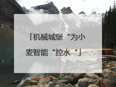 机械城堡“为小麦智能“控水“