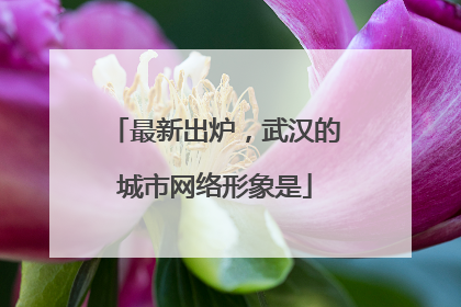 最新出炉，武汉的城市网络形象是