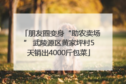 朋友圈变身“助农卖场” 武陵源区黄家坪村5天销出4000斤包菜