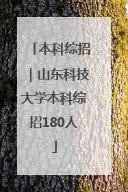 本科综招｜山东科技大学本科综招180人