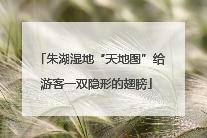 朱湖湿地“天地图”给游客一双隐形的翅膀