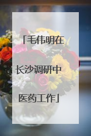 毛伟明在长沙调研中医药工作