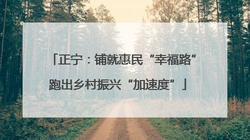正宁：铺就惠民“幸福路”跑出乡村振兴“加速度”