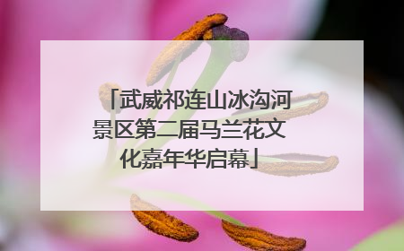 武威祁连山冰沟河景区第二届马兰花文化嘉年华启幕