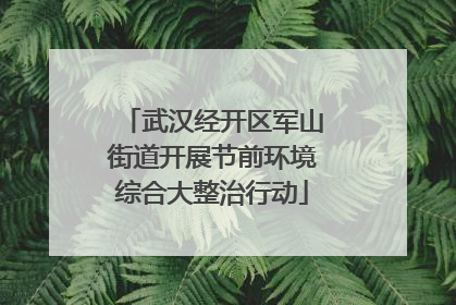 武汉经开区军山街道开展节前环境综合大整治行动