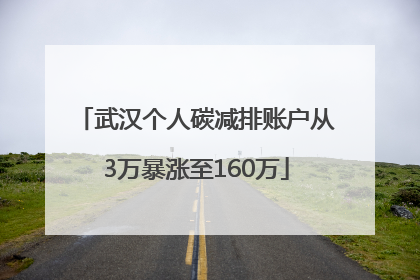 武汉个人碳减排账户从3万暴涨至160万