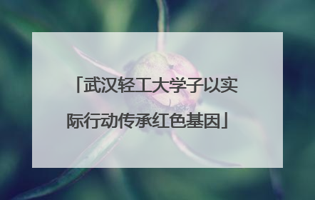 武汉轻工大学子以实际行动传承红色基因