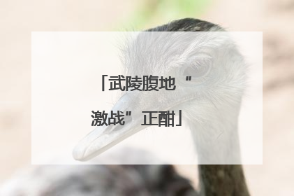 武陵腹地“激战”正酣