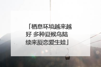 栖息环境越来越好 多种夏候鸟陆续来厦恋爱生娃
