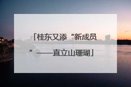 桂东又添“新成员”——直立山珊瑚