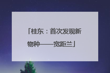 桂东：首次发现新物种——宽距兰