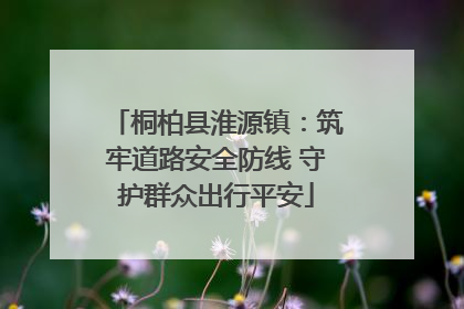 桐柏县淮源镇：筑牢道路安全防线 守护群众出行平安