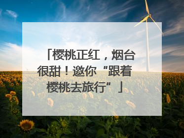 樱桃正红，烟台很甜！邀你“跟着樱桃去旅行”