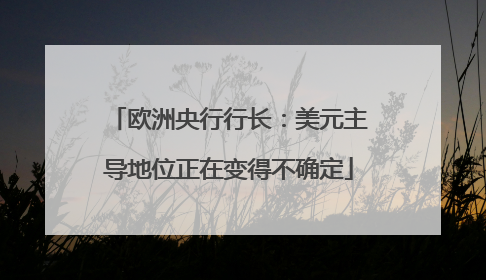 欧洲央行行长：美元主导地位正在变得不确定