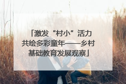 激发“村小”活力 共绘多彩童年——乡村基础教育发展观察