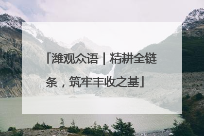 潍观众语｜精耕全链条，筑牢丰收之基