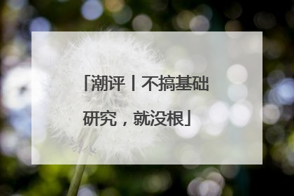 潮评丨不搞基础研究，就没根
