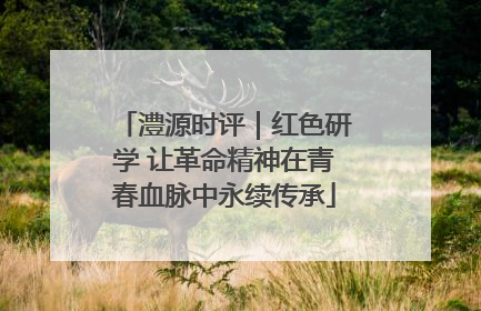 澧源时评｜红色研学 让革命精神在青春血脉中永续传承