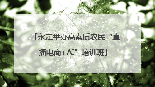 永定举办高素质农民“直播电商+AI”培训班
