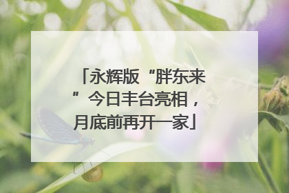 永辉版“胖东来”今日丰台亮相，月底前再开一家