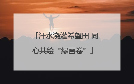 汗水浇灌希望田 同心共绘“绿画卷”