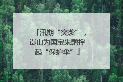汛期“突袭”，崀山为国宝朱鹮撑起“保护伞”