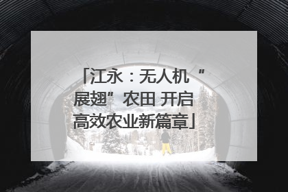 江永：无人机“展翅”农田 开启高效农业新篇章