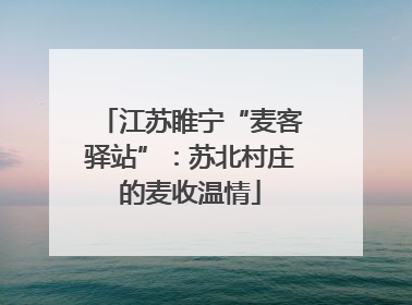 江苏睢宁“麦客驿站”：苏北村庄的麦收温情
