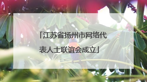 江苏省扬州市网络代表人士联谊会成立