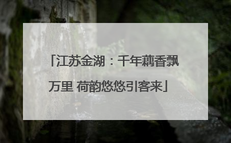 江苏金湖：千年藕香飘万里 荷韵悠悠引客来