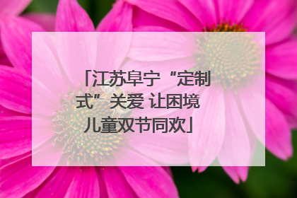 江苏阜宁“定制式”关爱 让困境儿童双节同欢