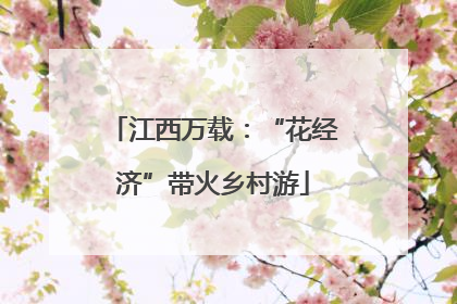 江西万载：“花经济”带火乡村游