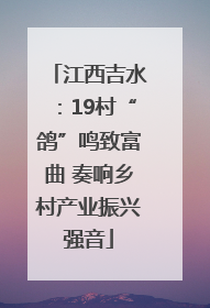 江西吉水：19村“鸽”鸣致富曲 奏响乡村产业振兴强音