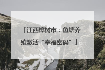 江西樟树市：鱼塘养殖激活“幸福密码”